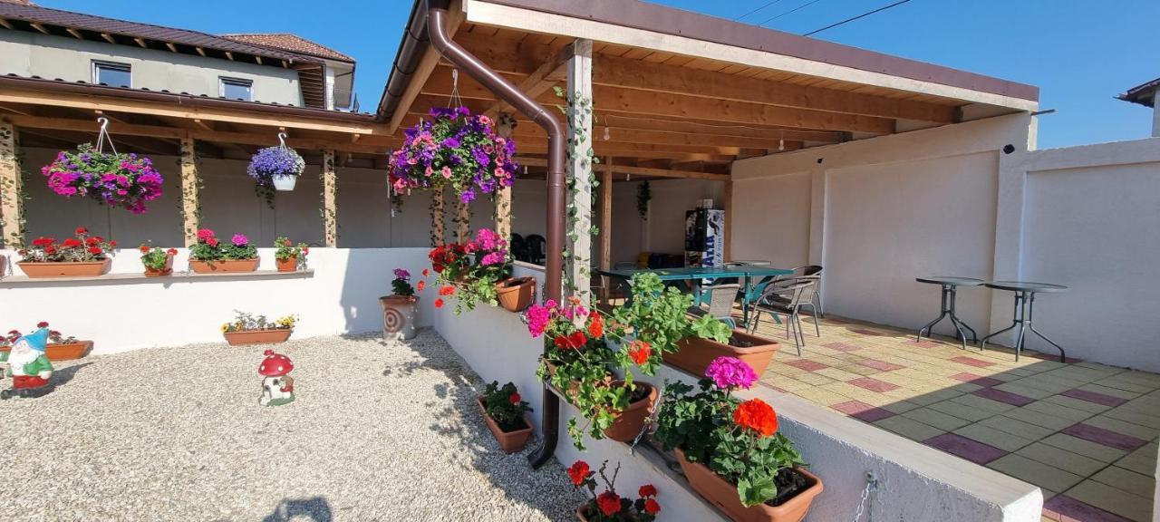 Soliday Séjour chez l'habitant Vama Veche